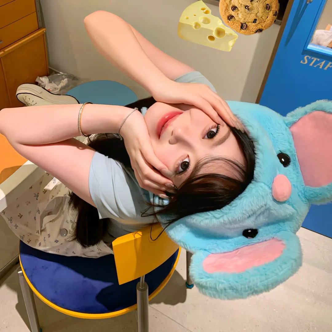 仓鼠管家